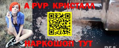 индика Нальчик