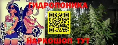 мдма Новодвинск