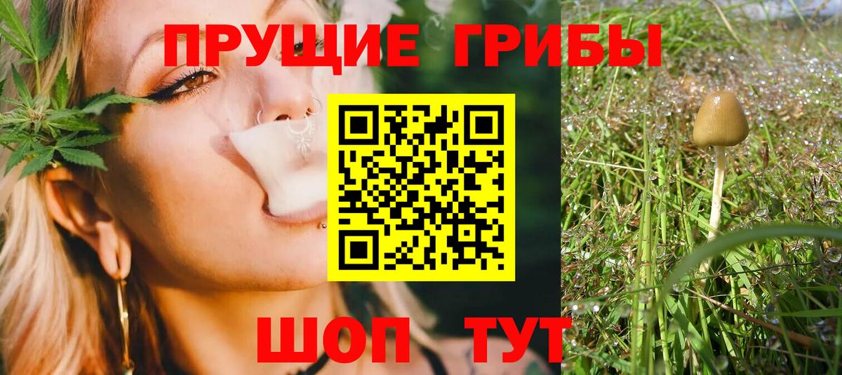 дарнет шоп  Галлюциногенные грибы Psilocybe  Галлюциногенные грибы Cubensis  Вход с VPN  Благовещенск 